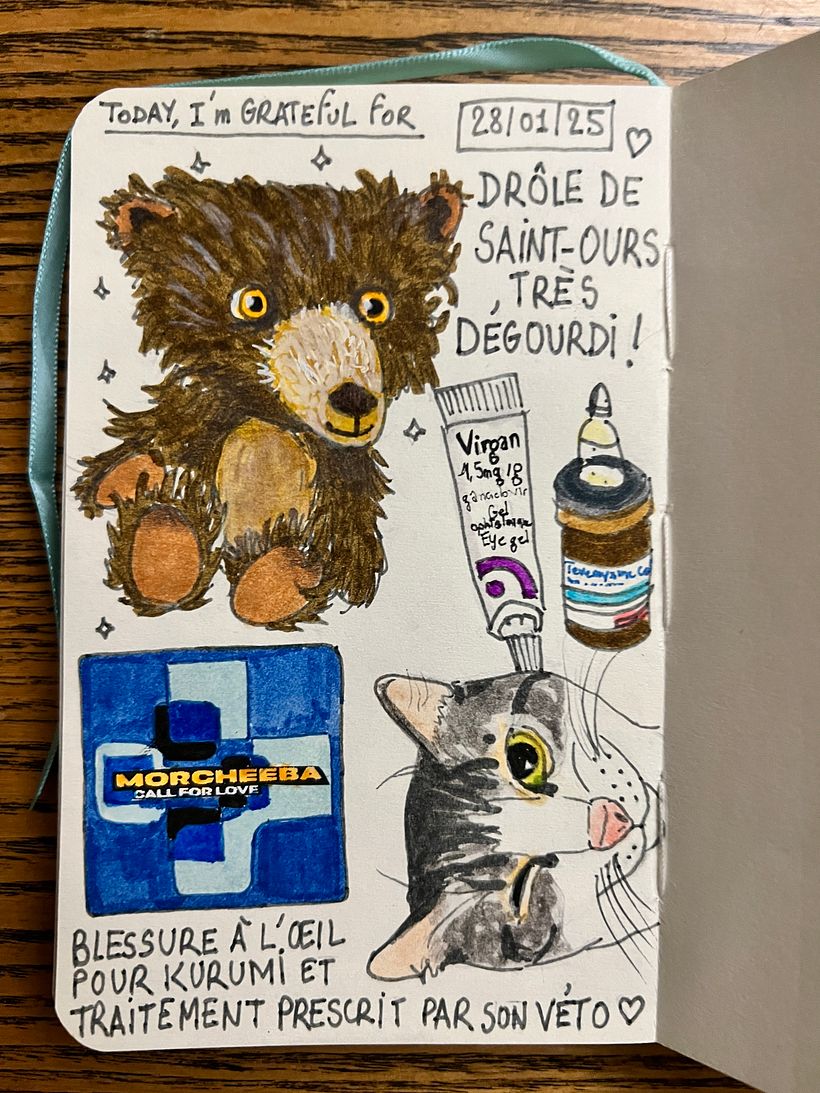 Carnet de gratitude : January 2025 sketchbook 1