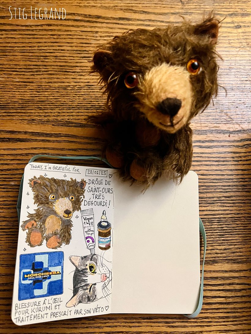 Carnet de gratitude : January 2025 sketchbook 1