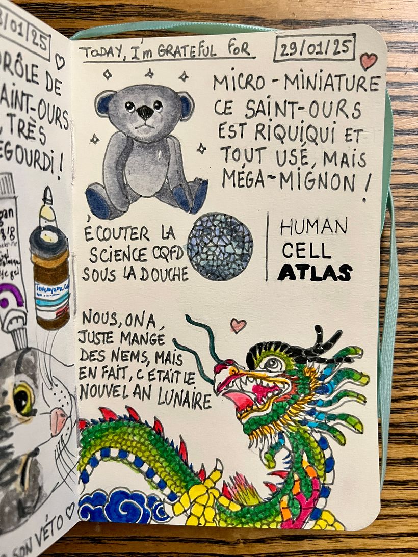 Carnet de gratitude : January 2025 sketchbook 1