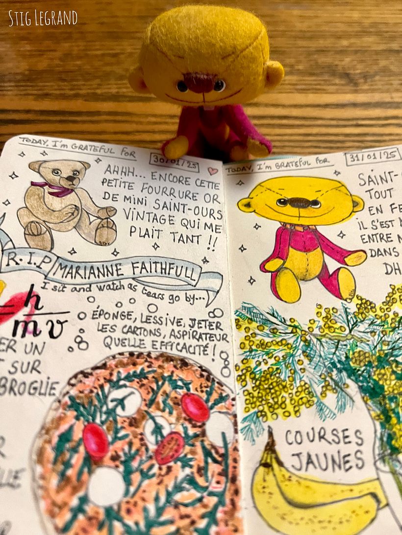 Carnet de gratitude : January 2025 sketchbook 1