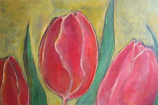 Tulips 1