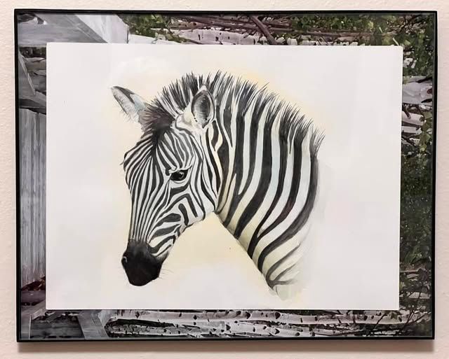 My African Zebra 1