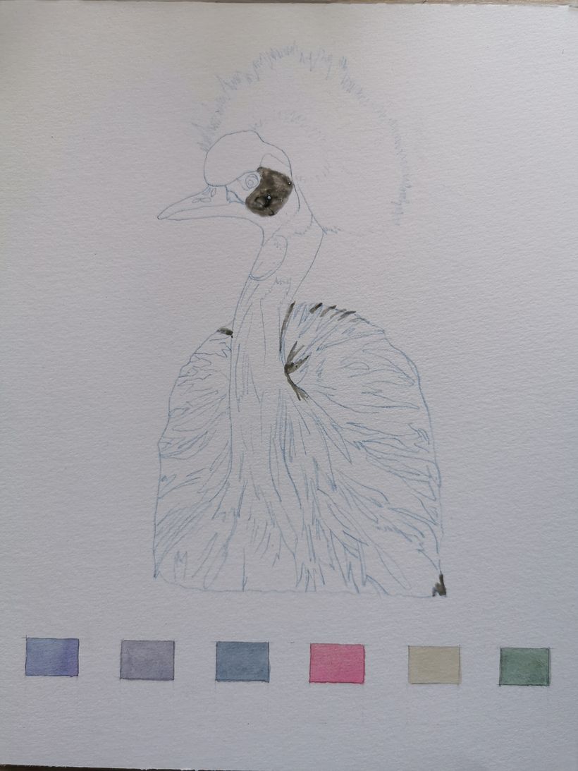 Illustration de grue couronnée à l'aquarelle 1