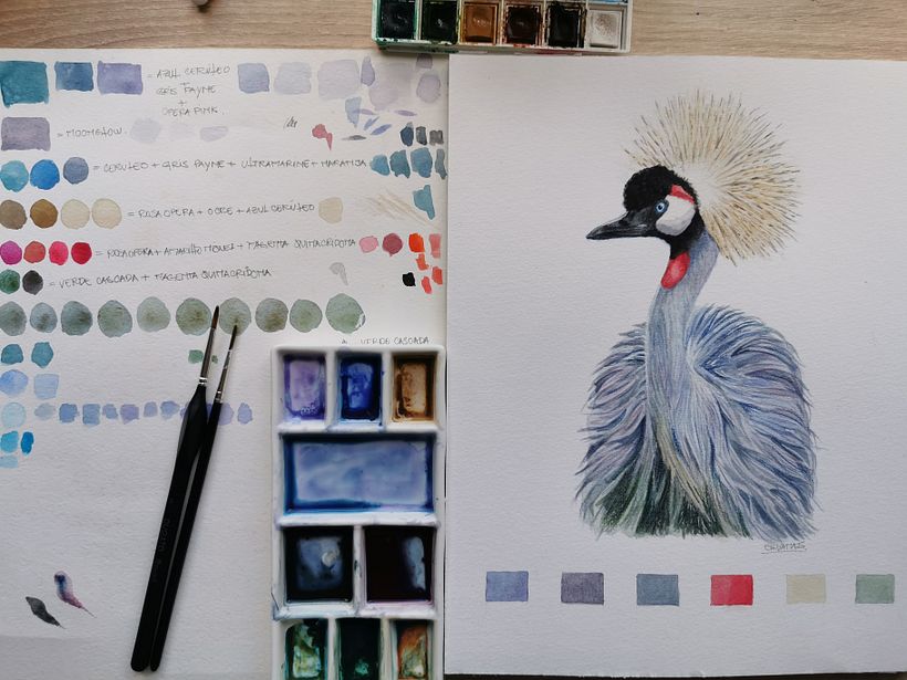 Illustration de grue couronnée à l'aquarelle 2