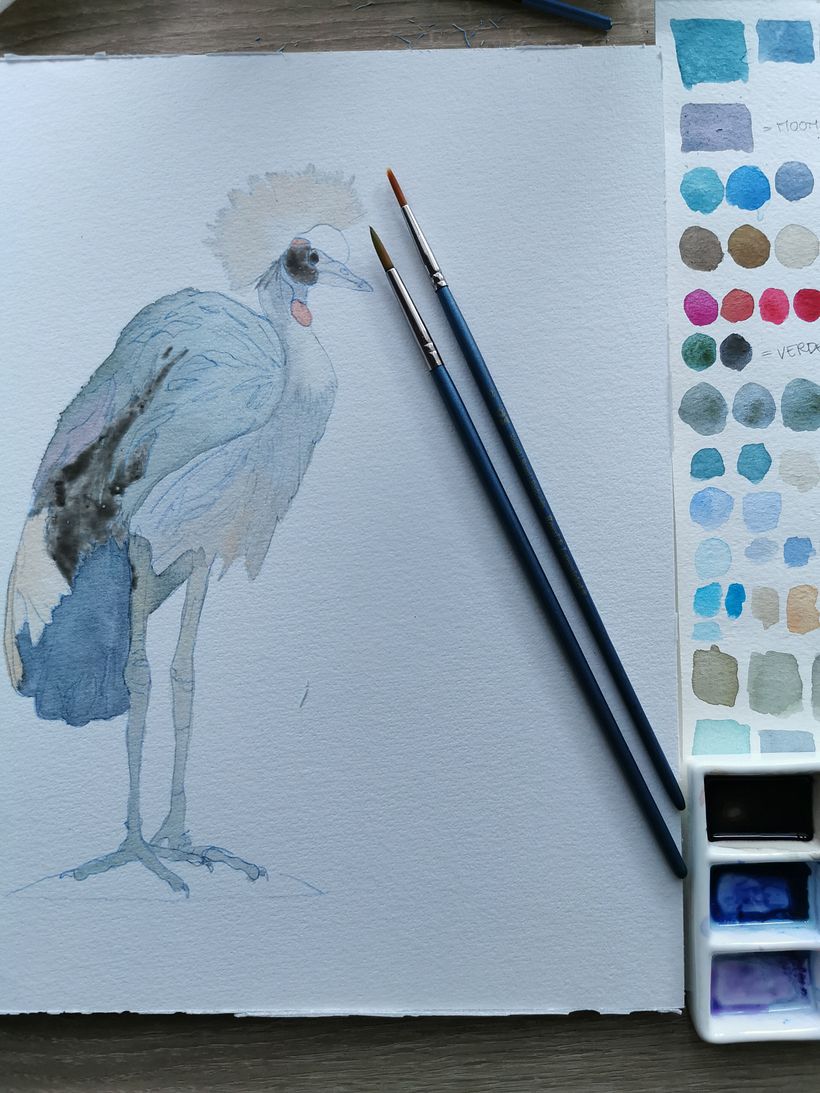 Illustration de grue couronnée à l'aquarelle 3