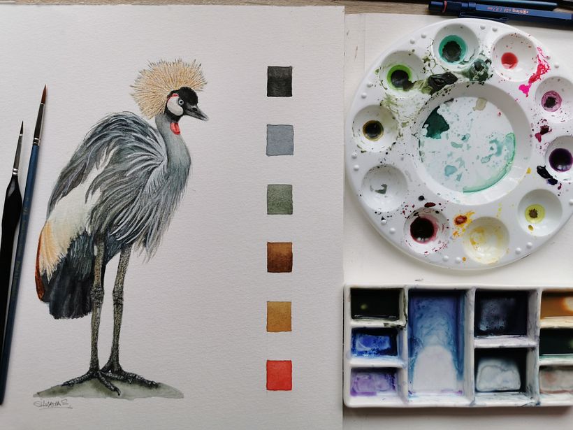 Illustration de grue couronnée à l'aquarelle 4