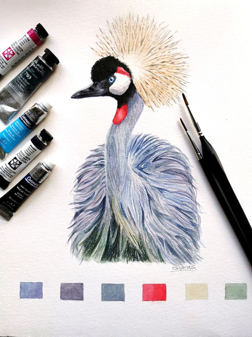 Illustration de grue couronnée à l'aquarelle 1
