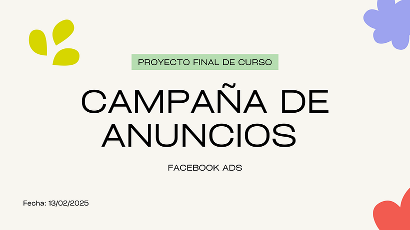 Proyecto Final del Curso: Campaña de Anuncios de Facebook Ads para Grace Fitness 1