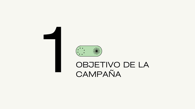 Proyecto Final del Curso: Campaña de Anuncios de Facebook Ads para Grace Fitness 1