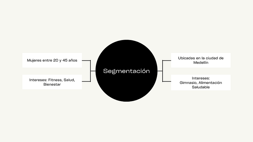 Proyecto Final del Curso: Campaña de Anuncios de Facebook Ads para Grace Fitness 3