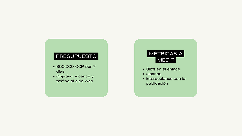 Proyecto Final del Curso: Campaña de Anuncios de Facebook Ads para Grace Fitness 1