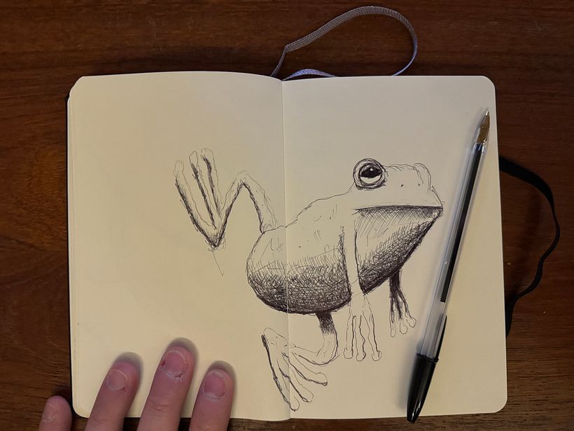 Sketchbook Bic ballonpoint 1