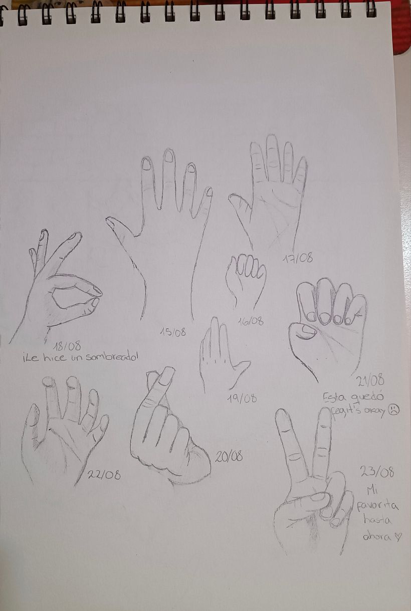 Proyecto para el curso  2