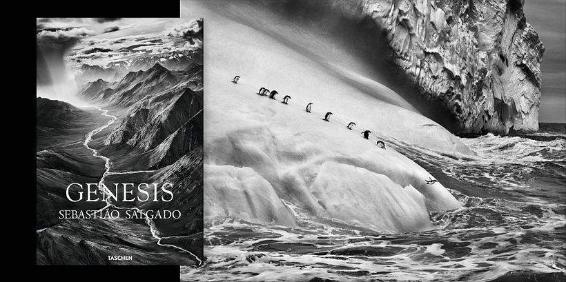 Genesis by Sebastião Salgado