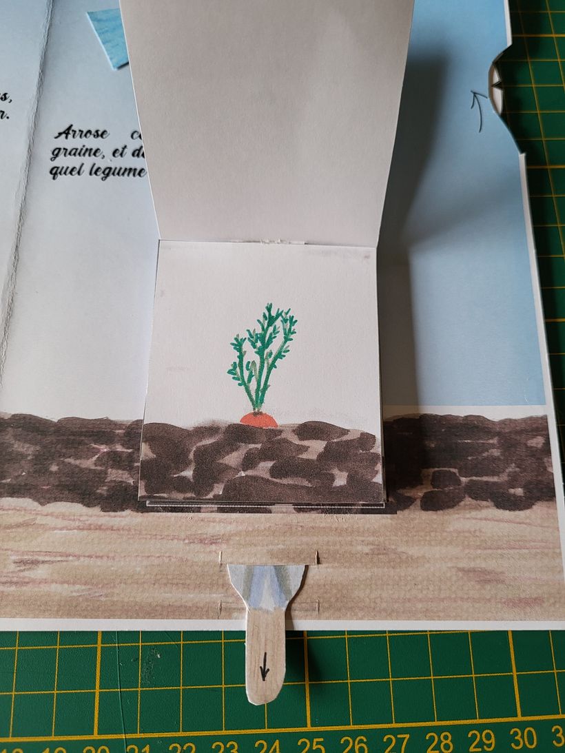 Au potager - 3