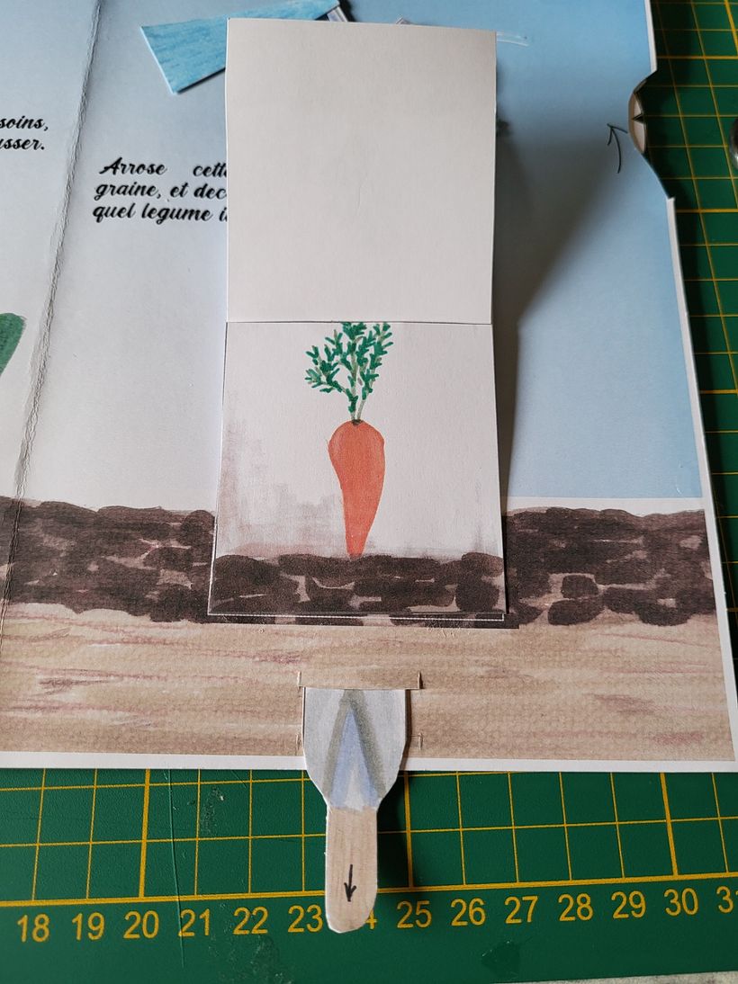 Au potager - 4