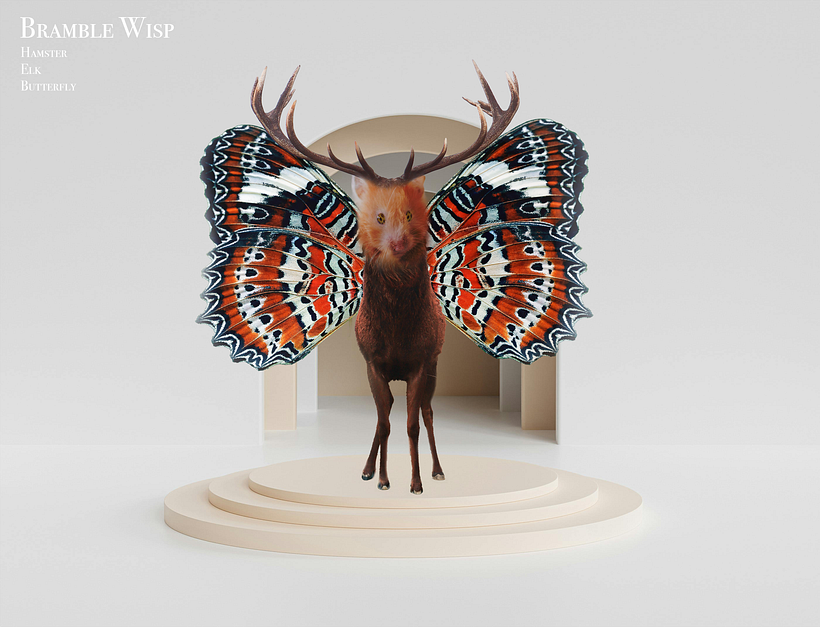 Hybrid Creatures: Merging Wildlife Through Digital Manipulation 1