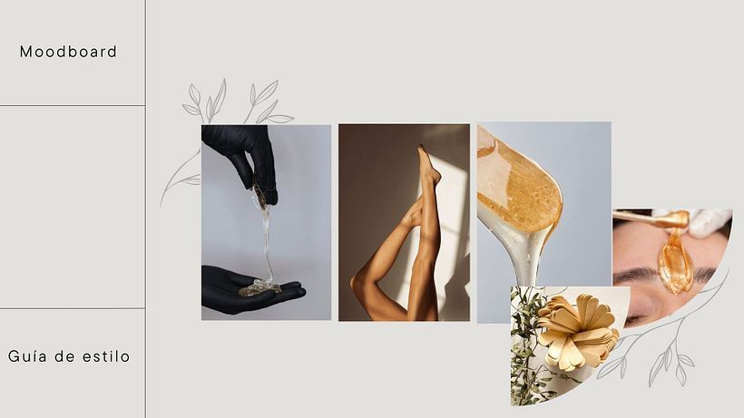 Guía de estilo y sitio web Sensa Skin Studio 1
