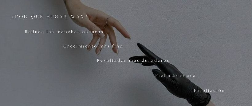 Guía de estilo y sitio web Sensa Skin Studio 4