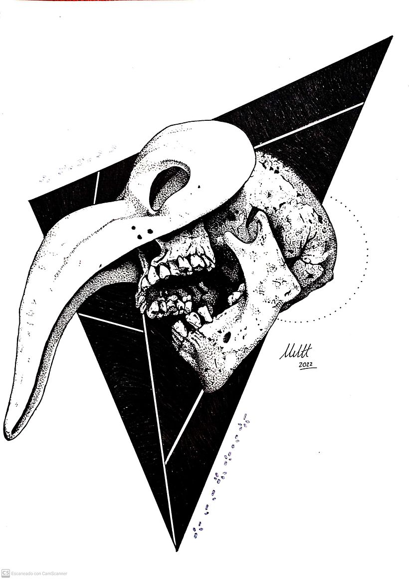 Desarrollo de ilustraciones 3