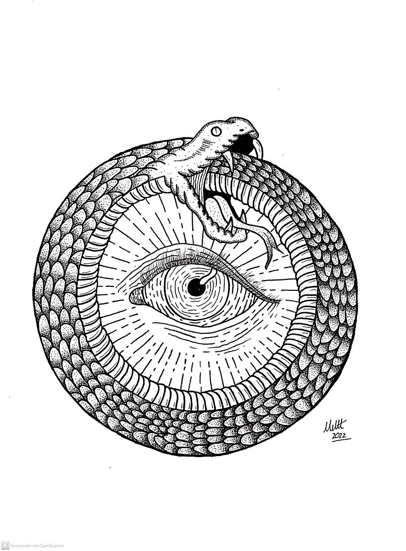 Desarrollo de ilustraciones 5