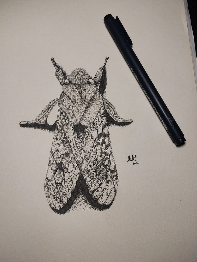 Desarrollo de ilustraciones 3