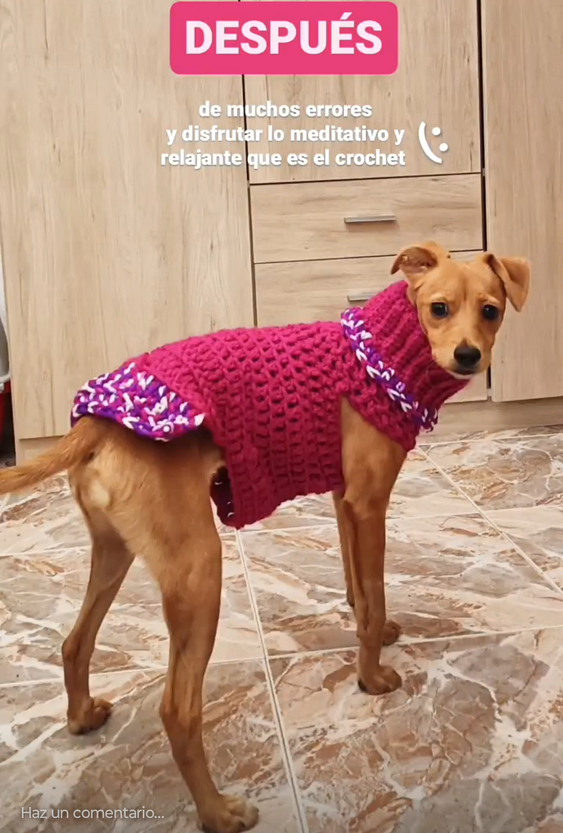 Tejiendo sueños🌈 2