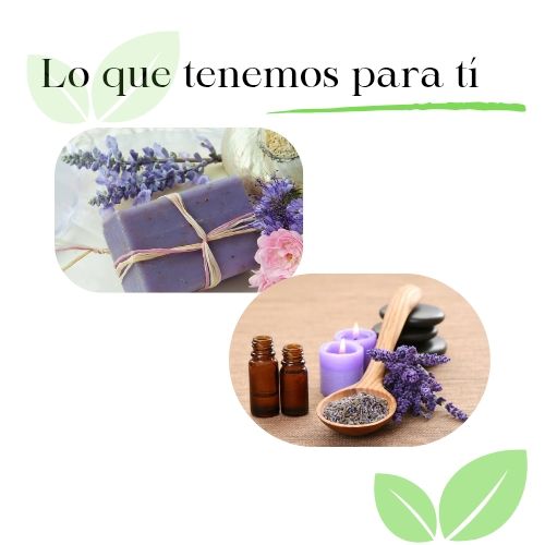 Aromas y luces. Artesanía natural 1