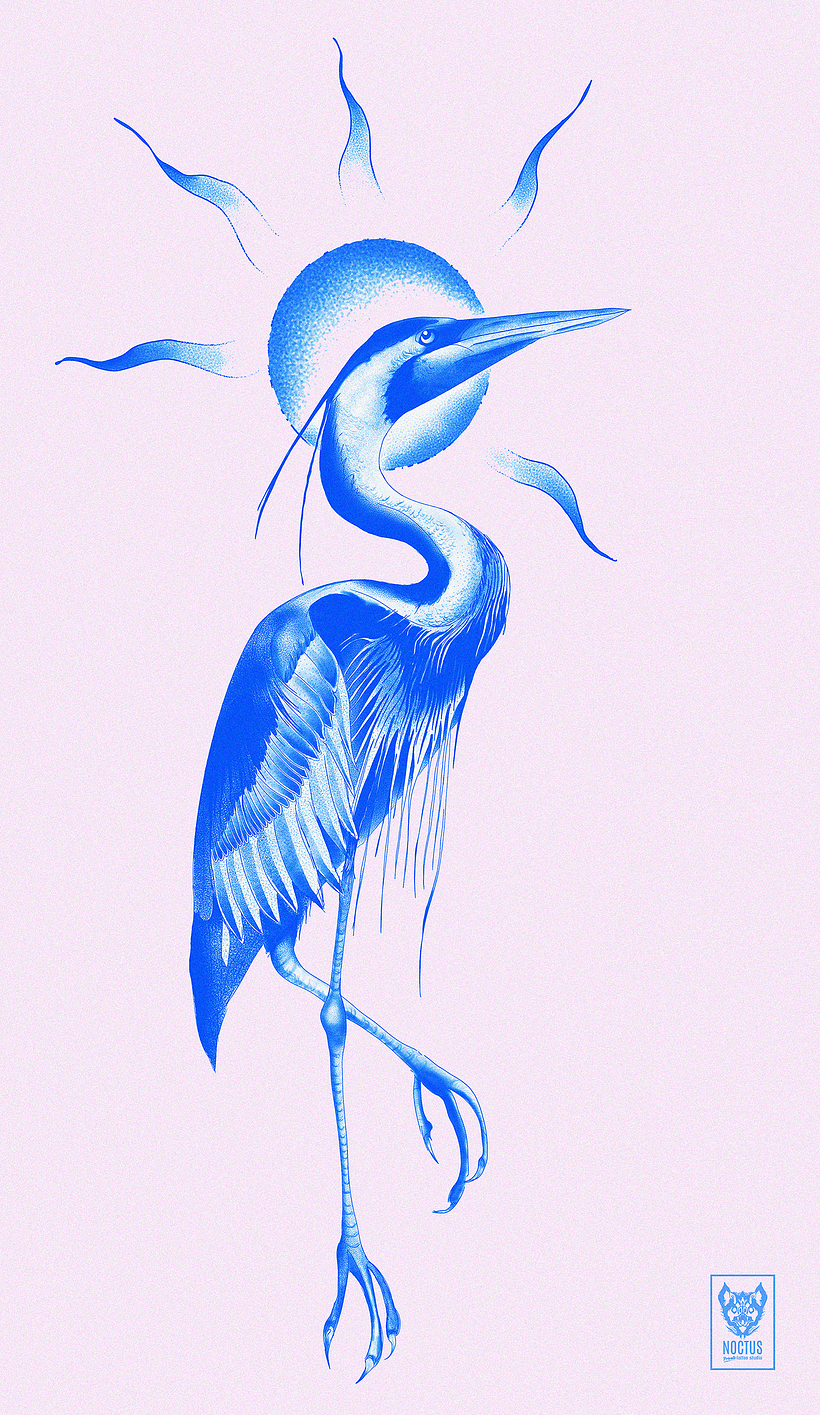 Great blue heron 1