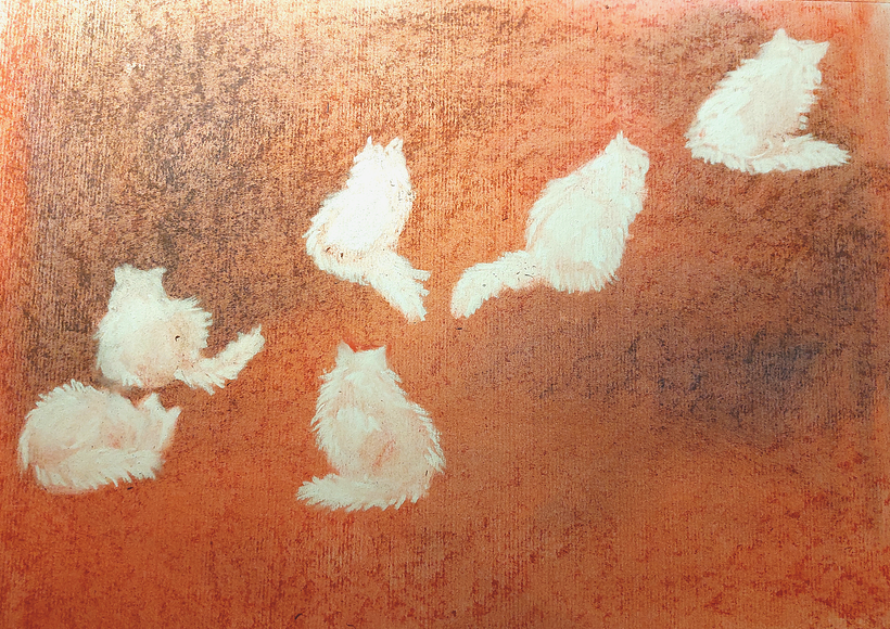 Soft Pastel Drawing: FLUFFY KITTENS 1
