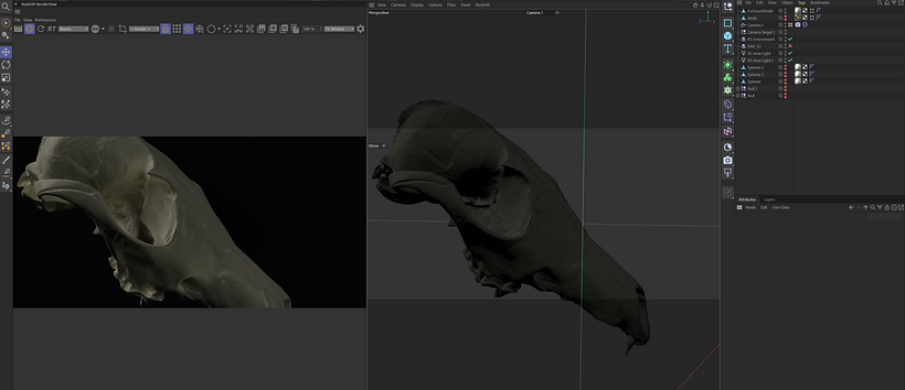 Horns | Title Sequence 1