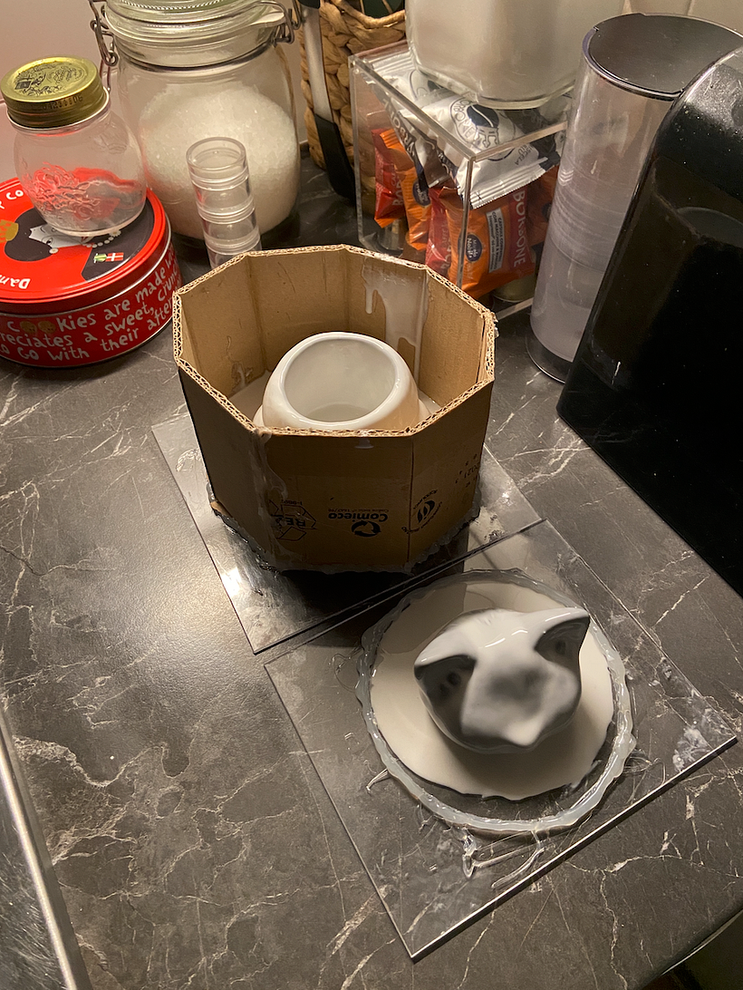 Gatti Barattolo di Labu Studio 1