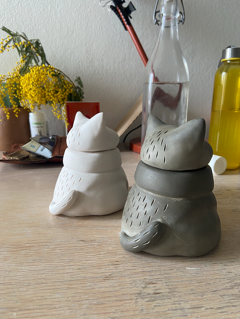 Gatti Barattolo di Labu Studio 2