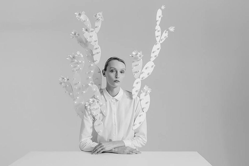 Plant & nature 1