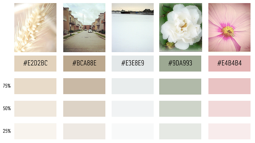 Diseño de Feed 1