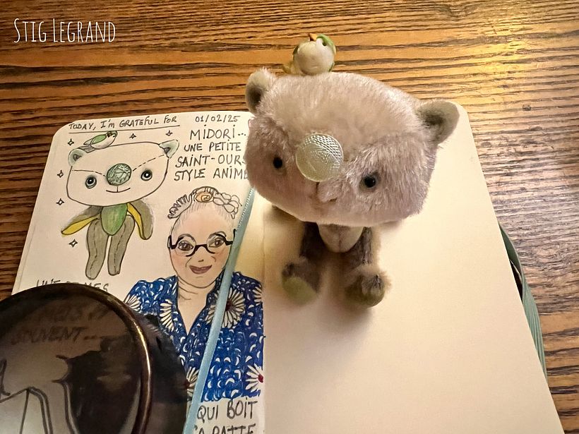 Carnet de gratitude : February 2025 sketchbook 1