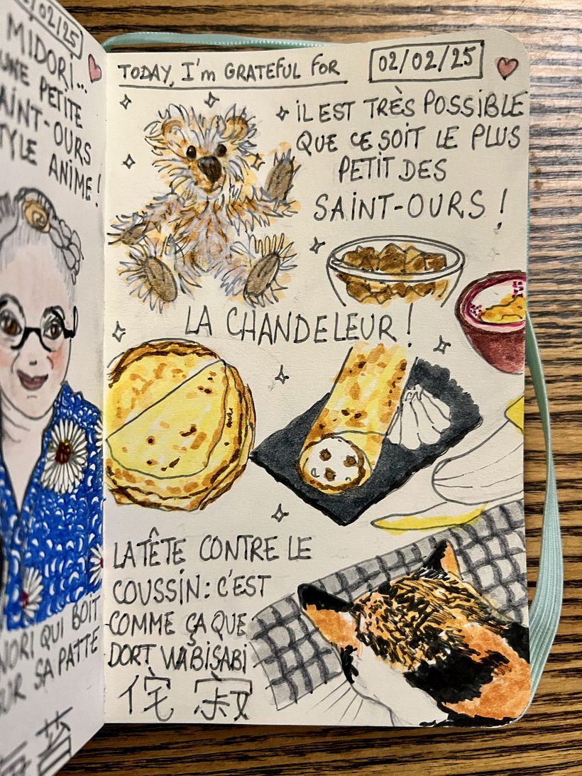 Carnet de gratitude : February 2025 sketchbook 1