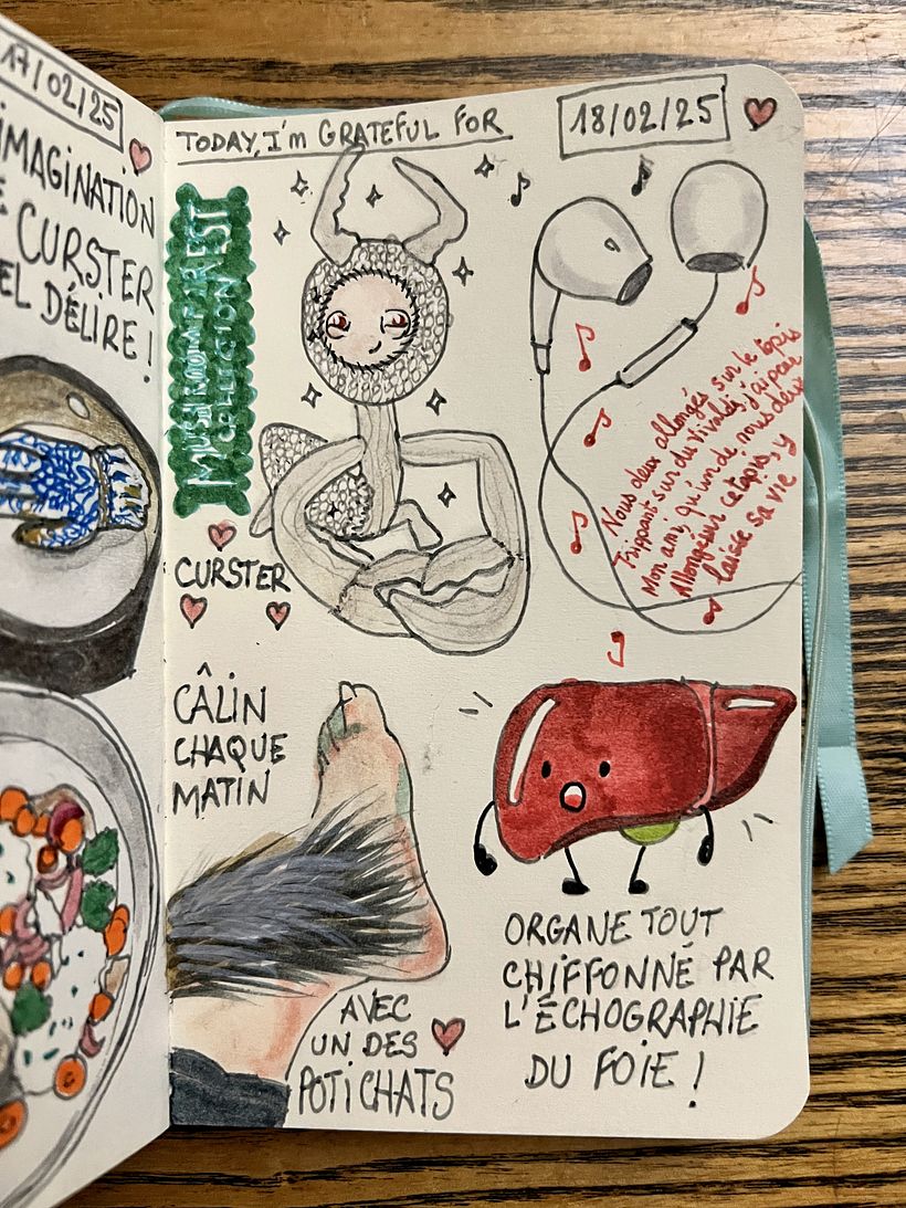 Carnet de gratitude : February 2025 sketchbook 1