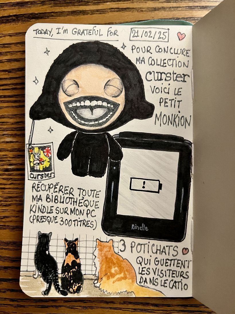 Carnet de gratitude : February 2025 sketchbook 1