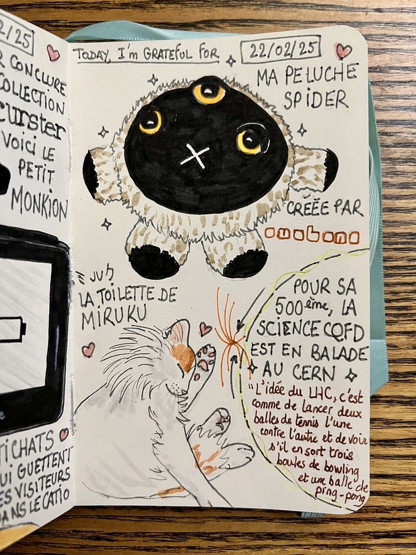 Carnet de gratitude : February 2025 sketchbook 1