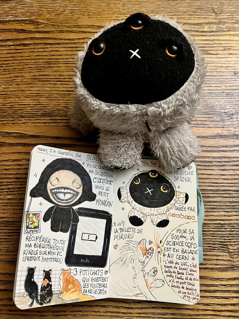 Carnet de gratitude : February 2025 sketchbook 1