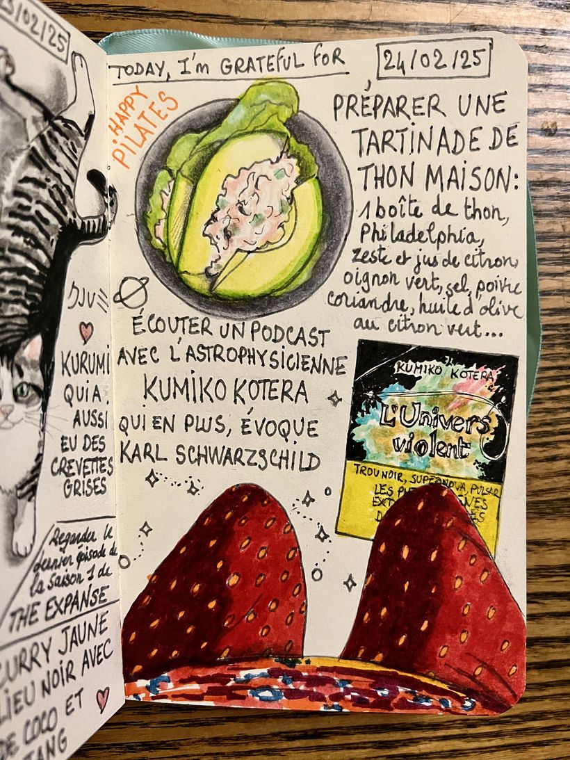 Carnet de gratitude : February 2025 sketchbook 1