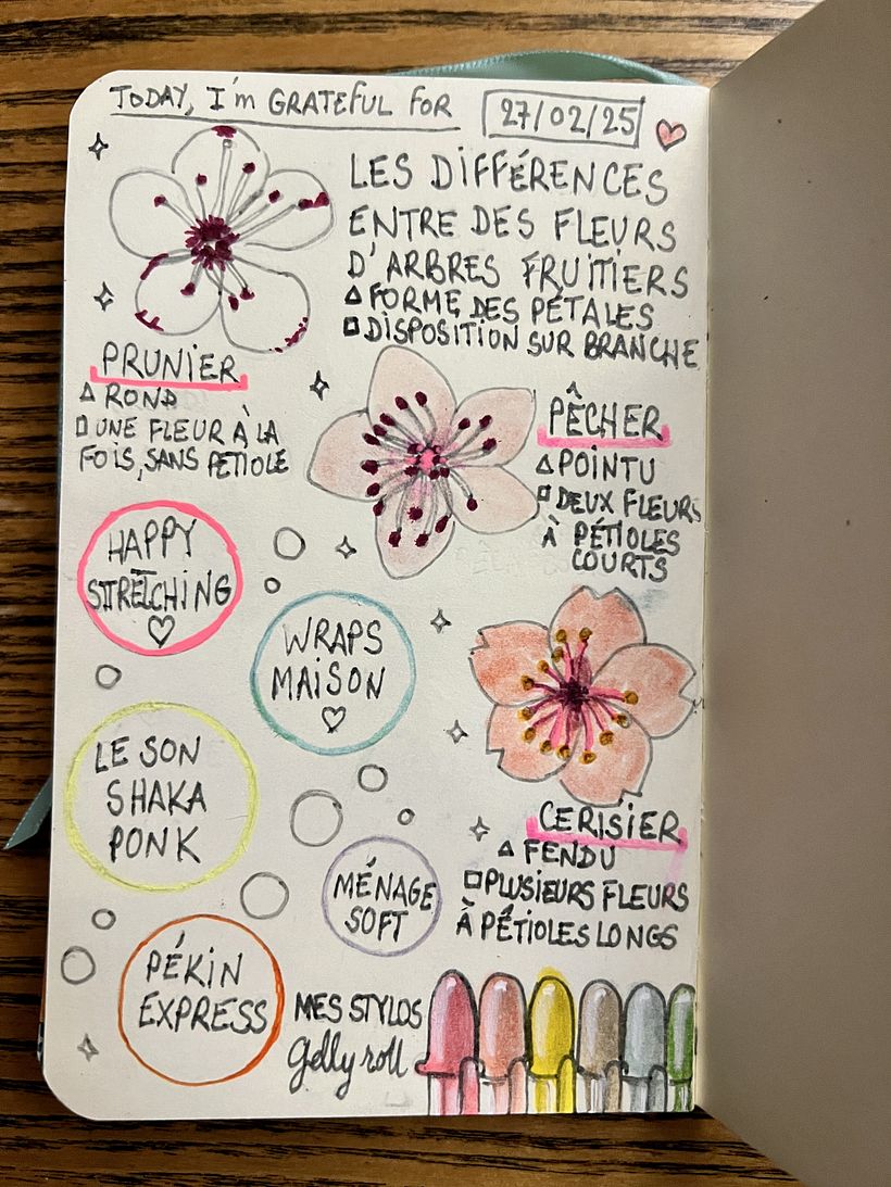 Carnet de gratitude : February 2025 sketchbook 1
