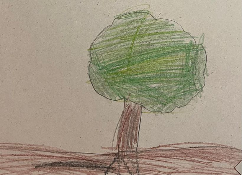 ¿Por qué existen las semillas? 1