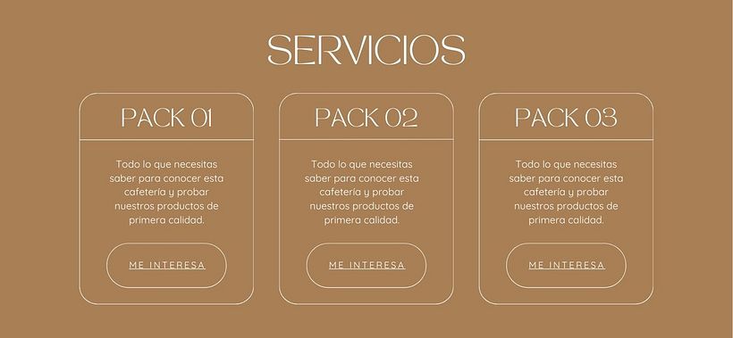 Proyecto final del curso en Canva-Domestika 3