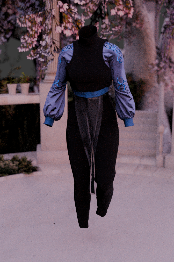 Final Project - 3D Clothing Desing 1