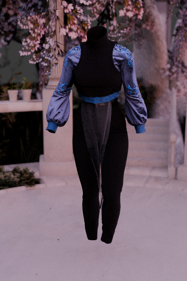 Final Project - 3D Clothing Desing 2