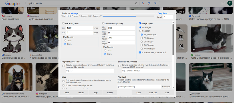 Proyecto de IA diferenciador calicó vs tuxedo 2