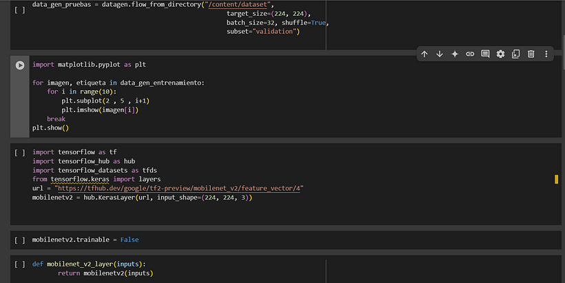 Proyecto de IA diferenciador calicó vs tuxedo 2