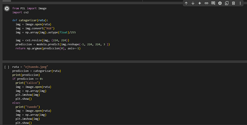 Proyecto de IA diferenciador calicó vs tuxedo 1